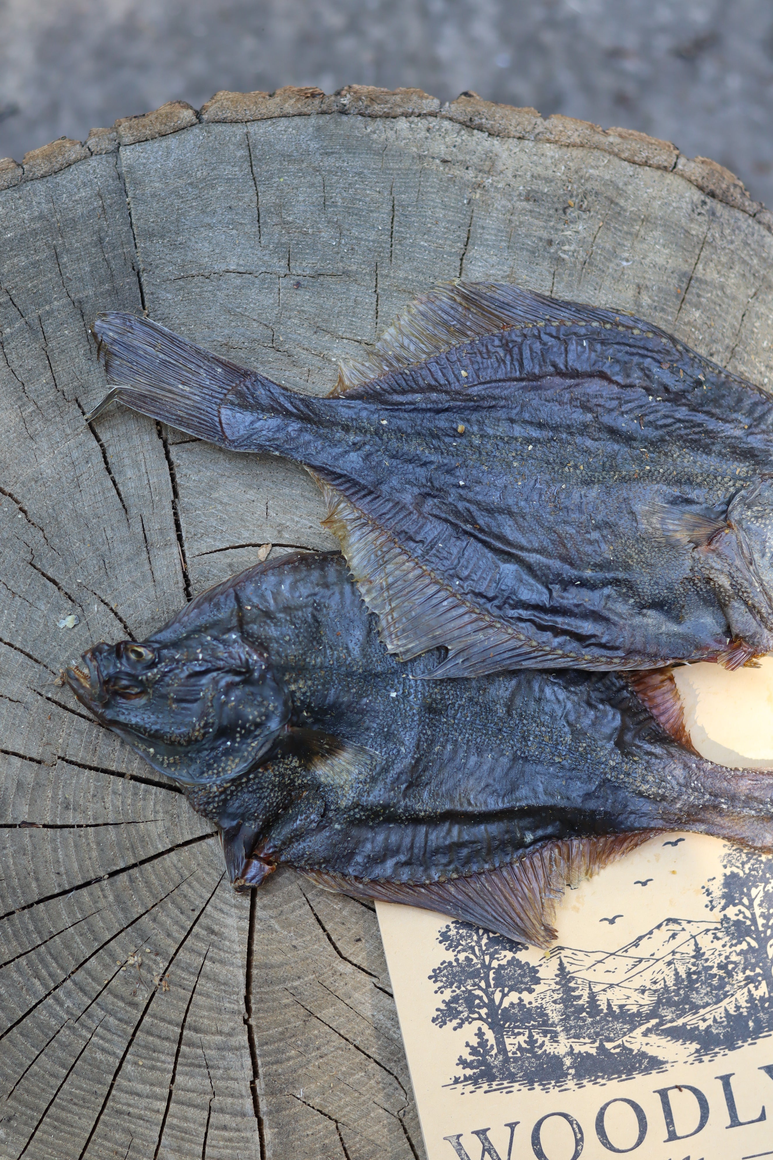 Flounder Fish