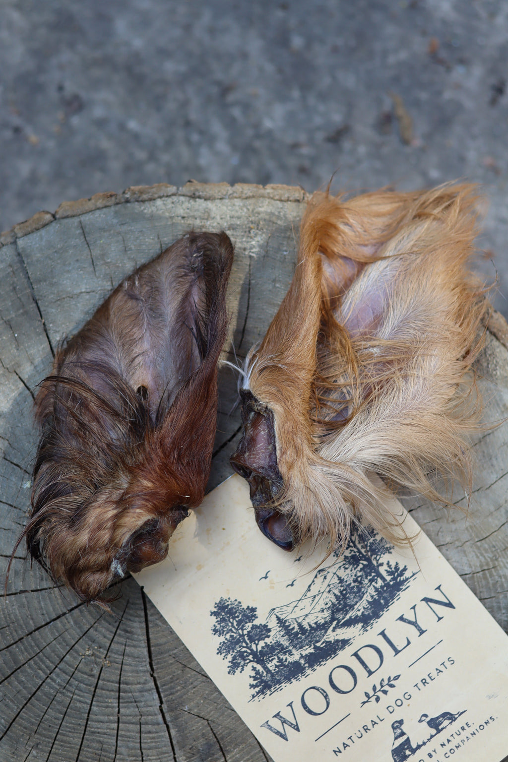 Beef Ears with Fur