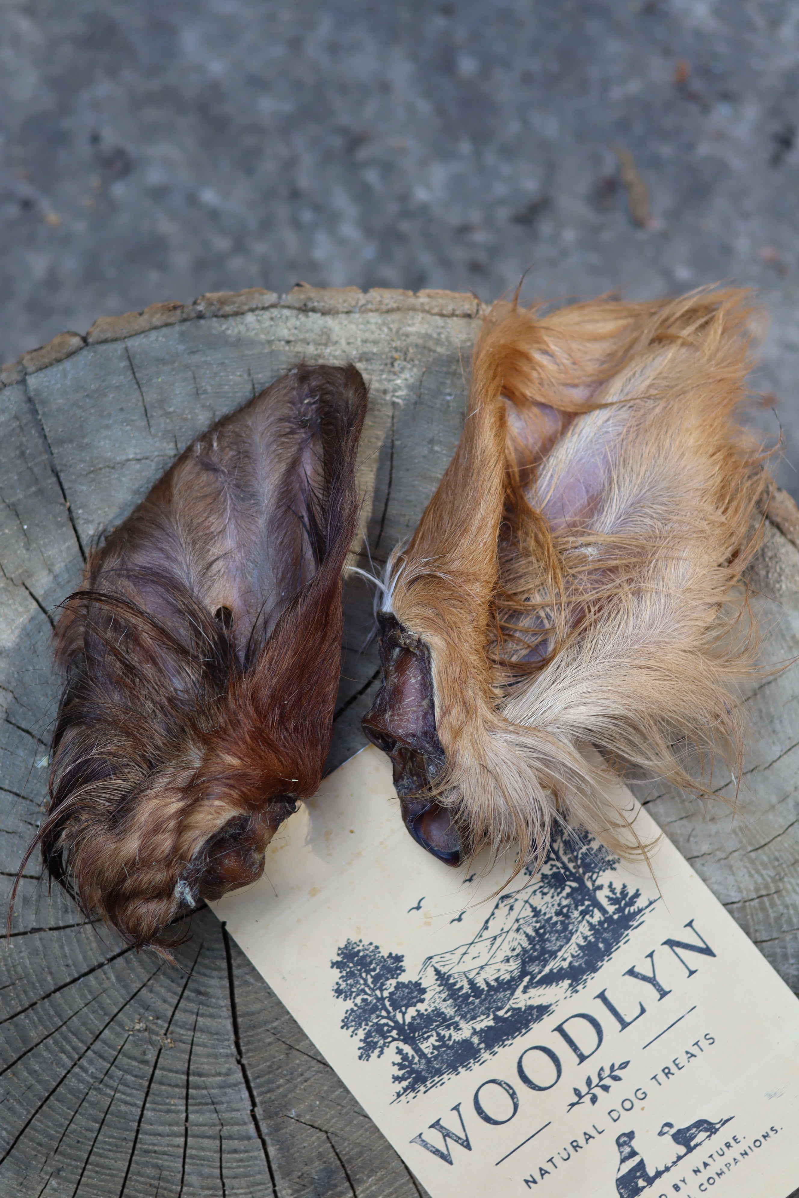Beef Ears with Fur