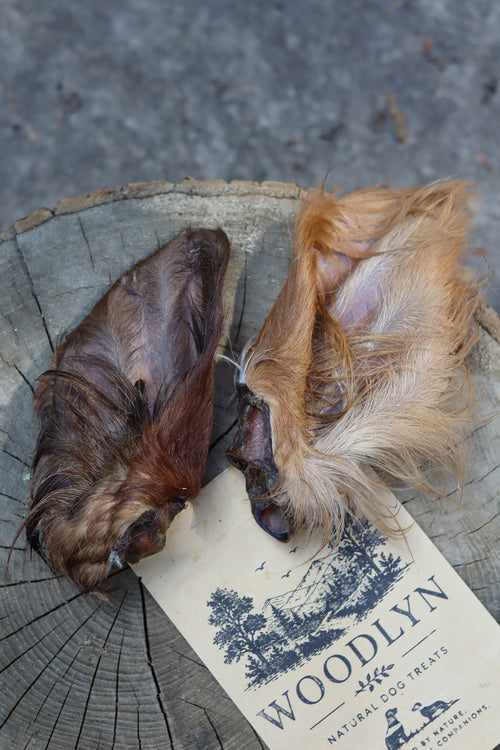 Beef Ears with Fur
