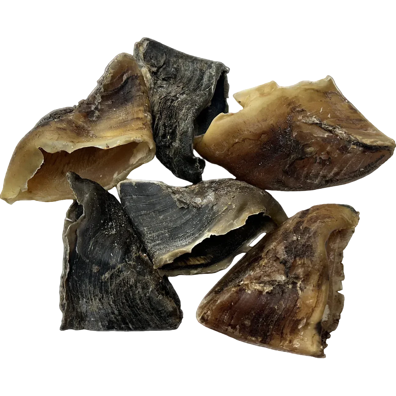 Cow Hooves
