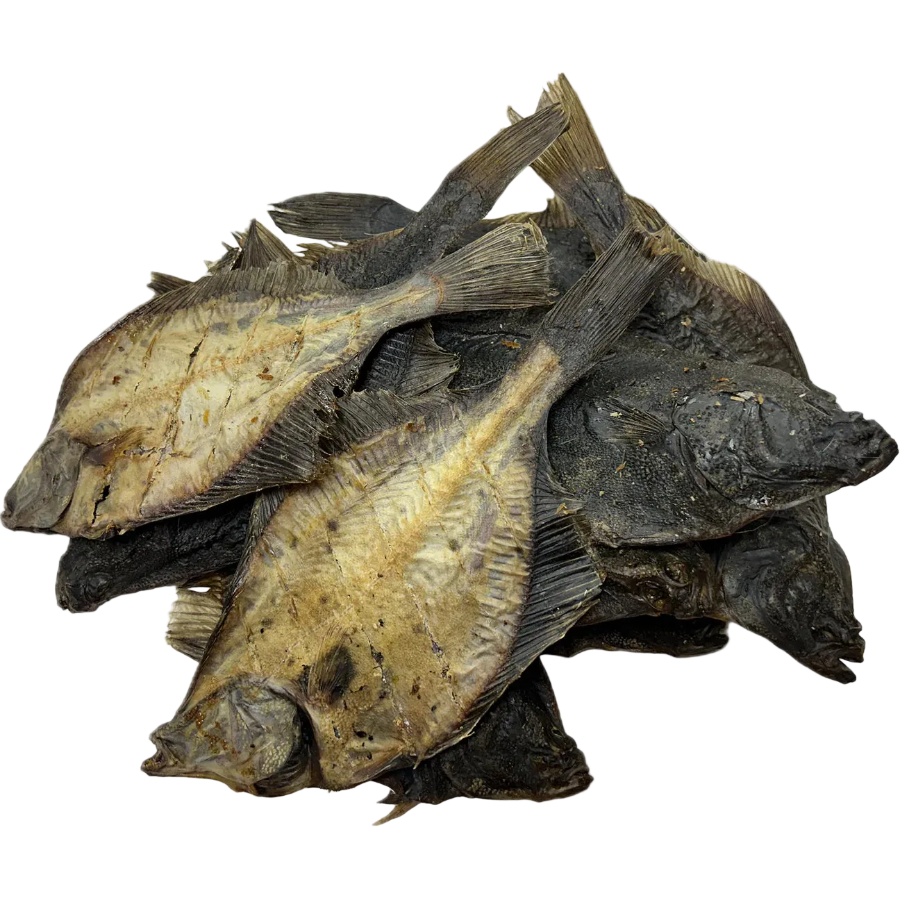 Flounder Fish