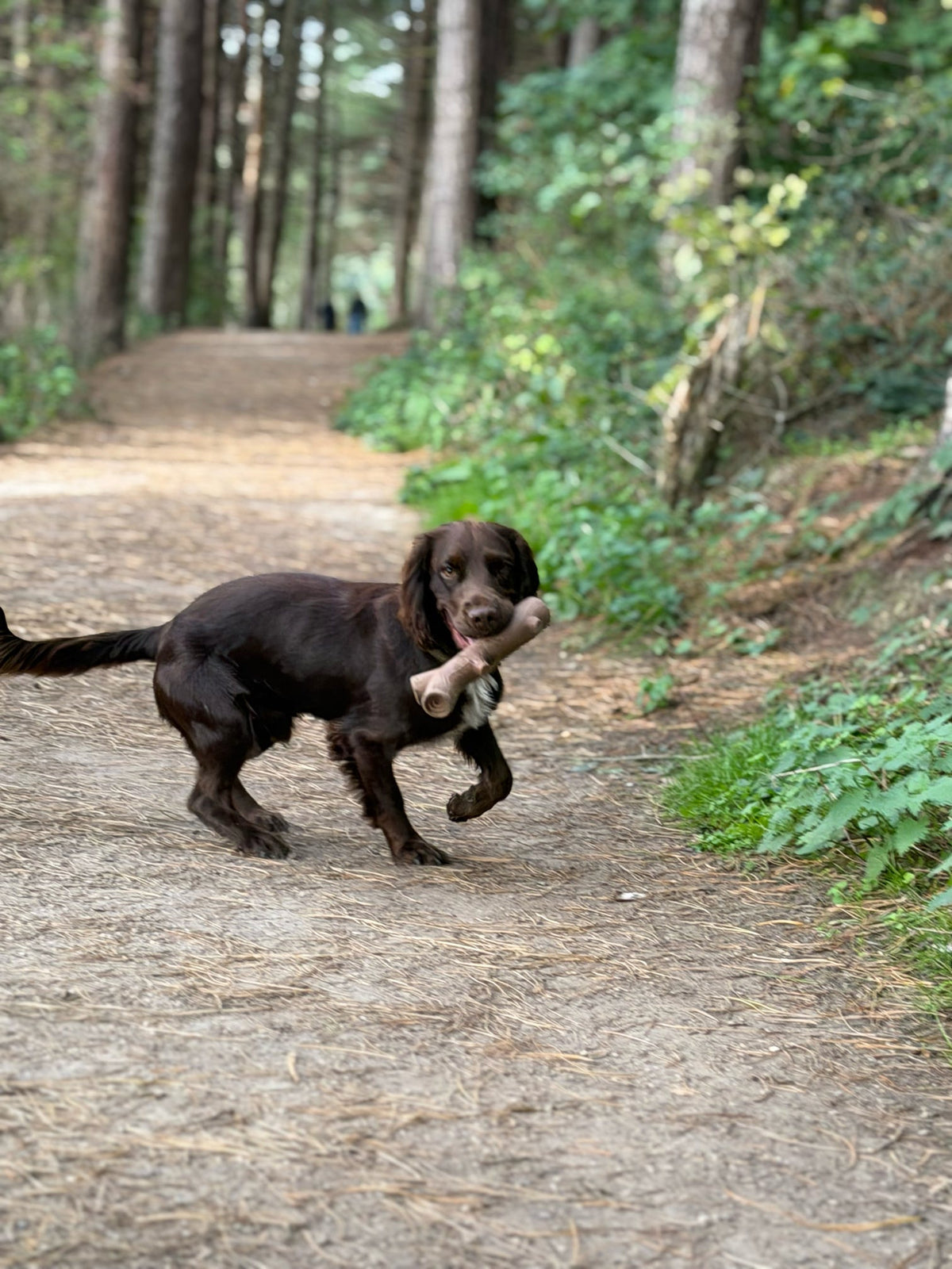 Floaty Stick