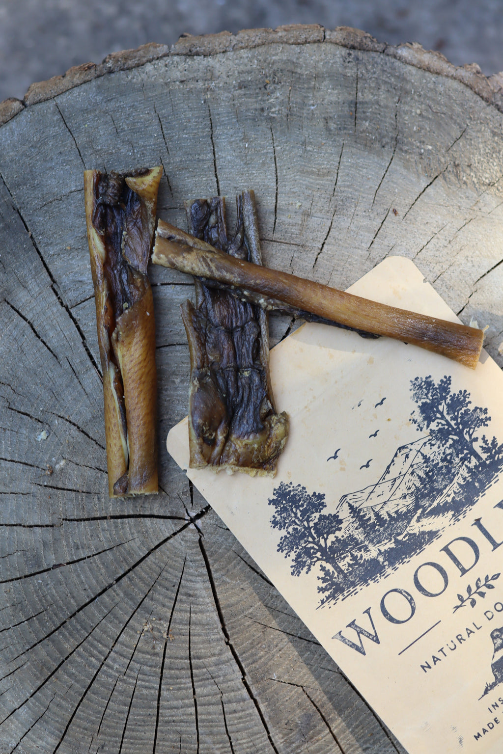 Wild Boar Skin Hide