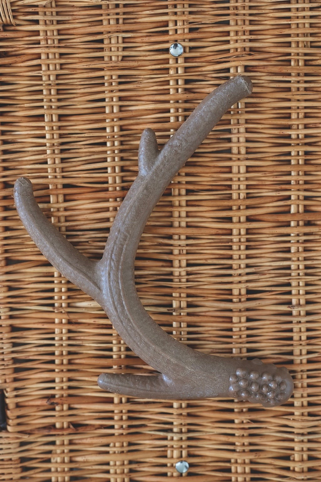 Antler