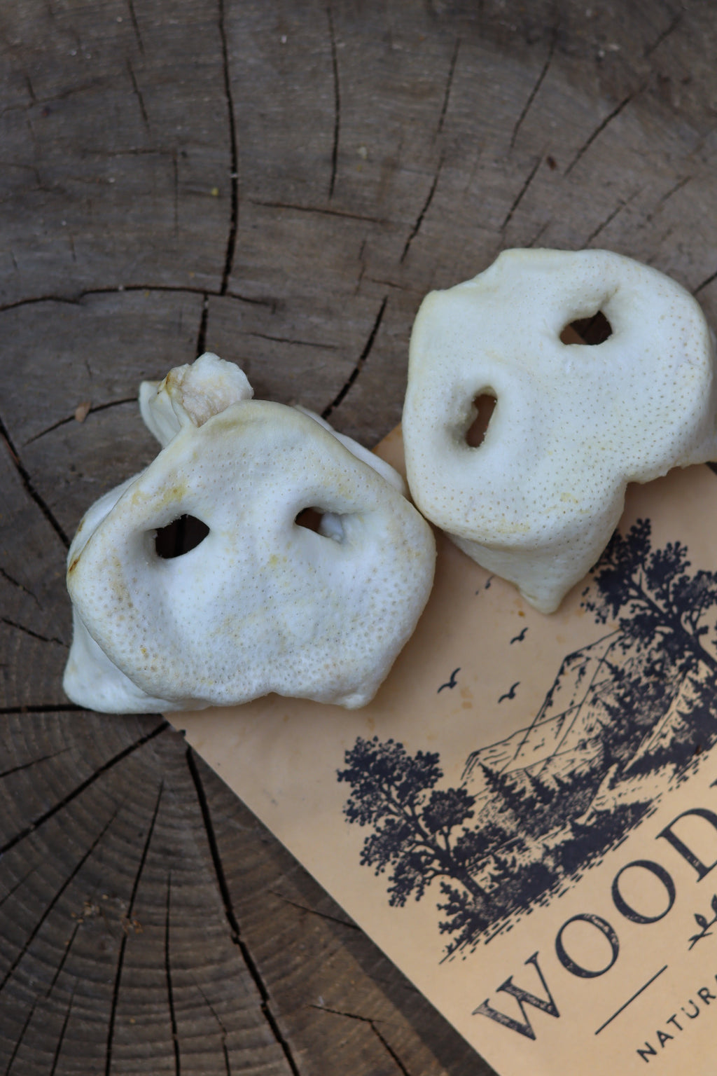 Pig Snouts