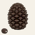 Pine Cone Enrichment
