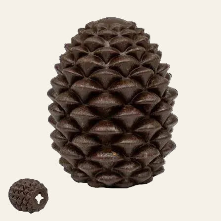 Pine Cone Enrichment