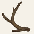 Antler