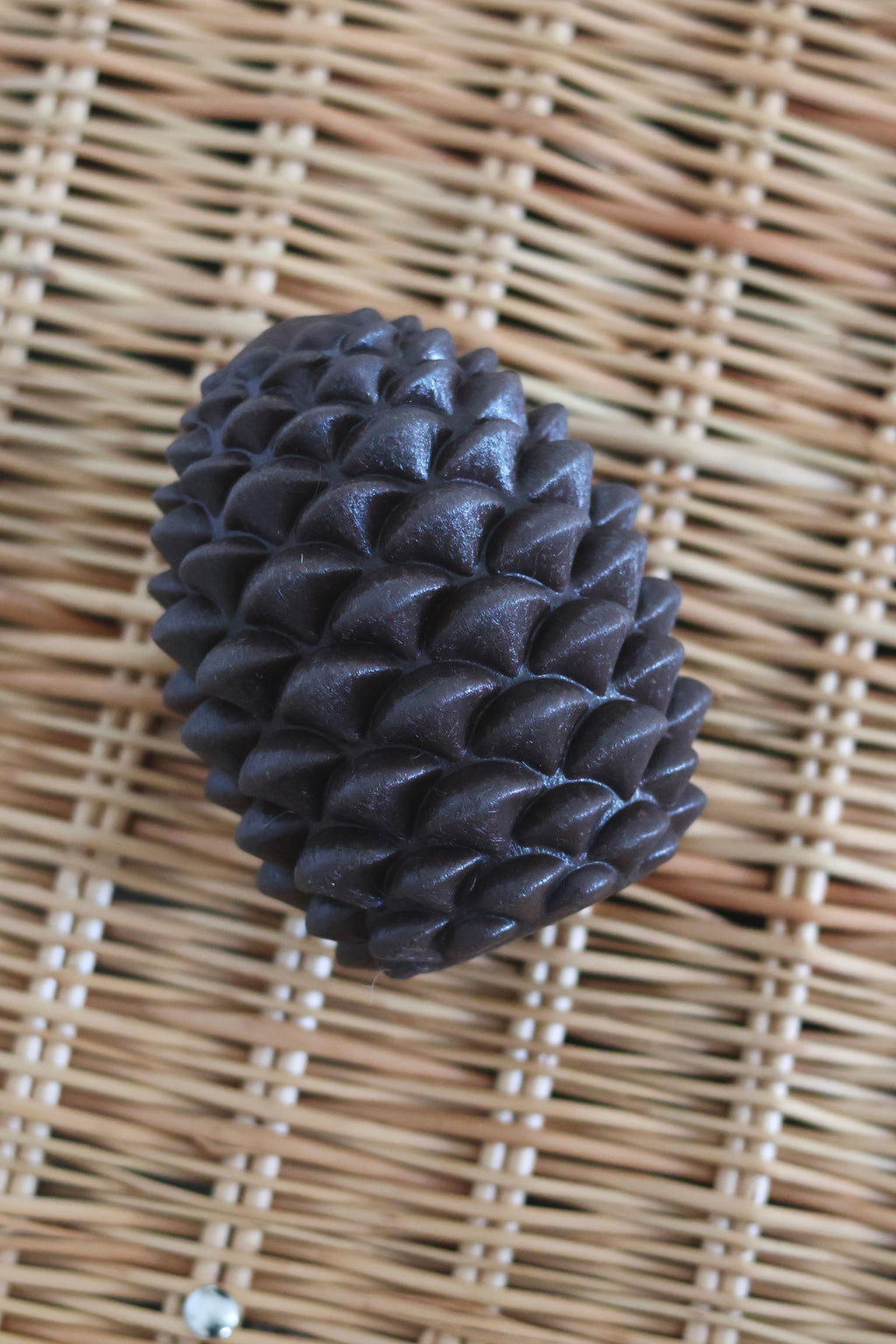 Pine Cone Enrichment