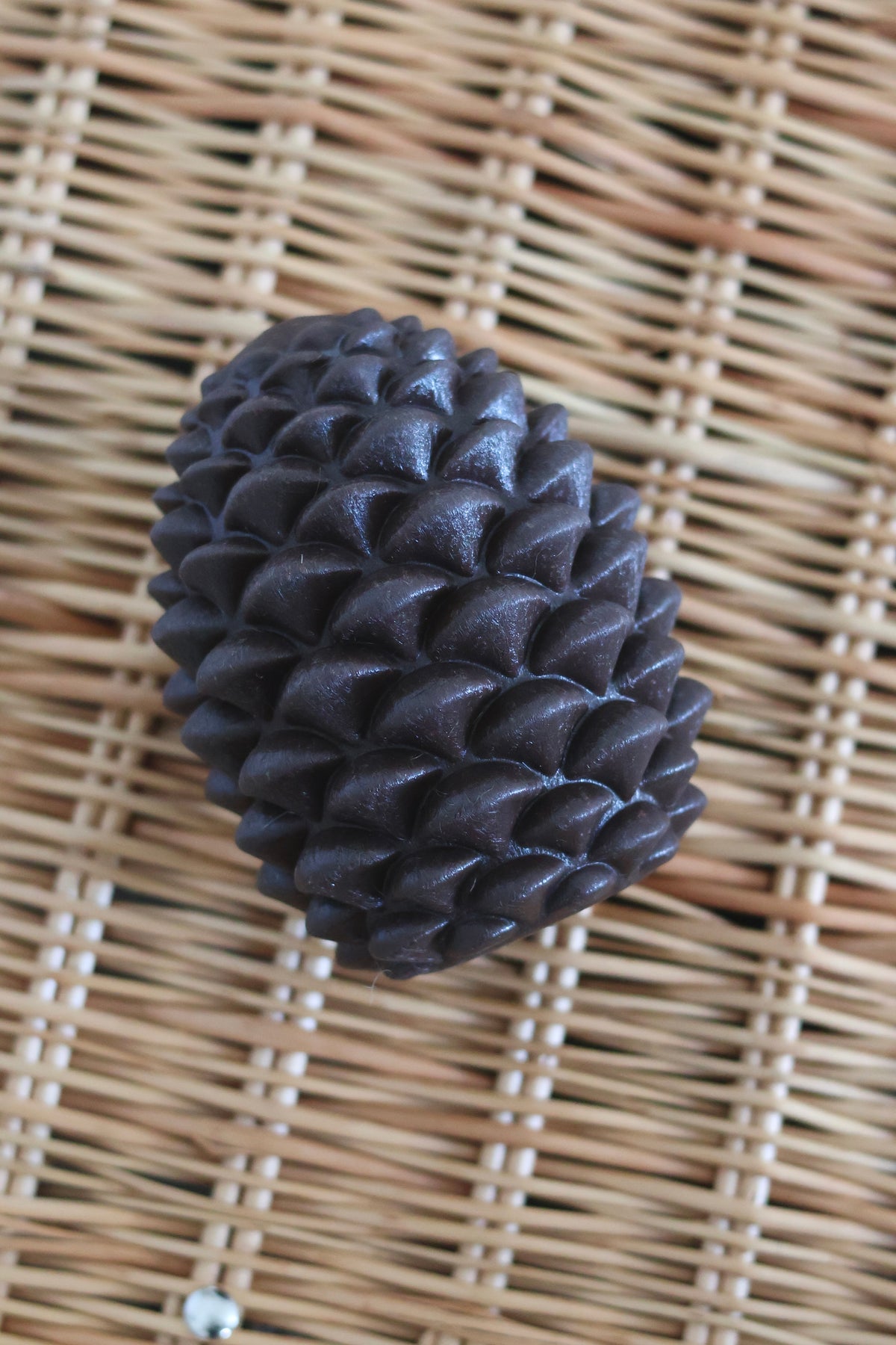 Pine Cone Enrichment