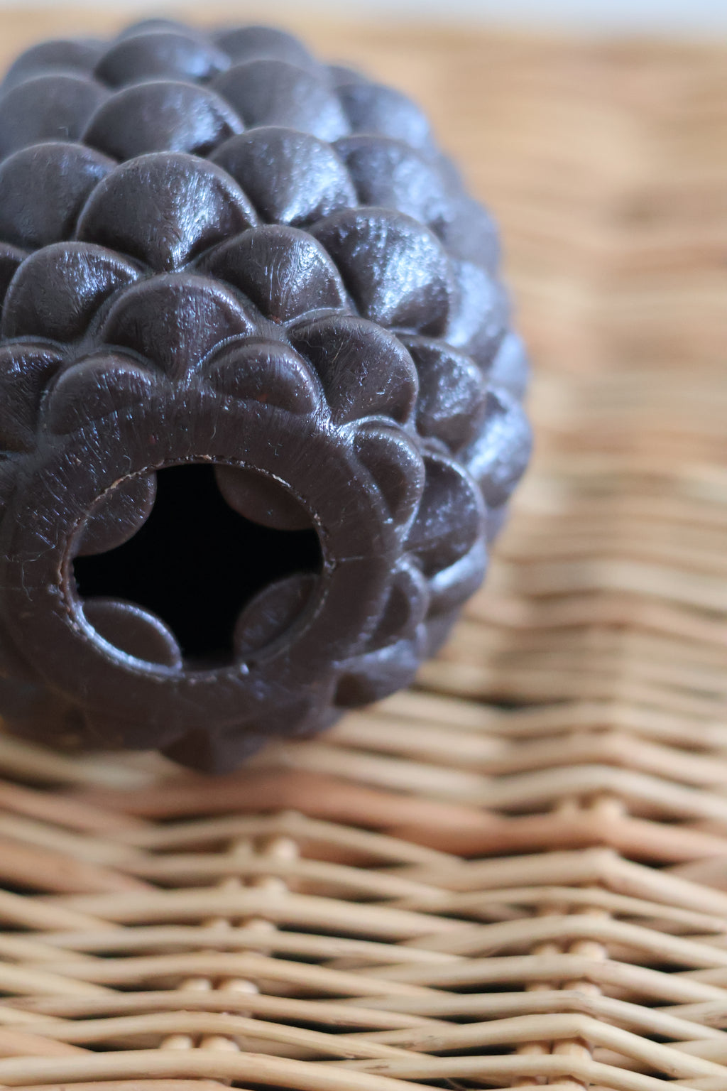 Pine Cone Enrichment