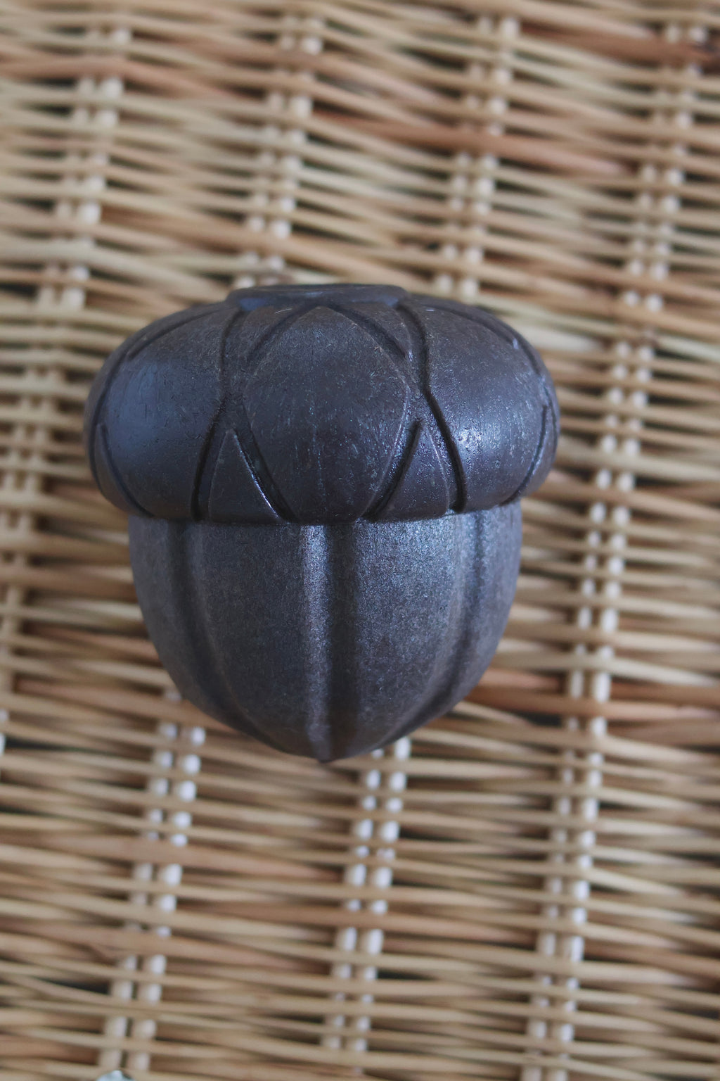 Acorn Enrichment